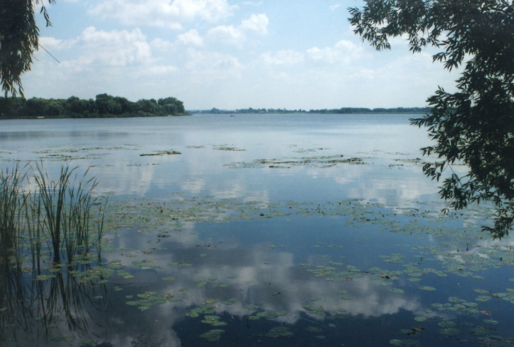Млинівське водоймище